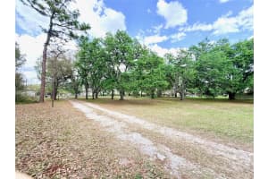 7001 DORMANY ROAD, PLANT CITY, FL 33565 - MLS#MFRTB8484334