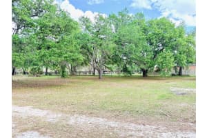 7001 DORMANY ROAD, PLANT CITY, FL 33565 - MLS#MFRTB8484334