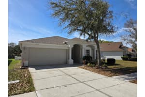 13020 EARLY RUN LANE, RIVERVIEW, FL 33578 - MLS#MFRTB8484361