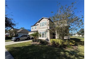 11832 CROSS VINE DRIVE, RIVERVIEW, FL 33579 - MLS#MFRTB8484369