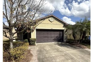 6108 Magnolia Park Blvd, RIVERVIEW