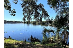 7150 BANK DRIVE, TAMPA, FL 33617 - MLS#MFRTB8484443