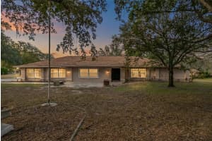 1232 BARRANCA AVENUE, SPRING HILL, FL 34609 - MLS#MFRTB8484503