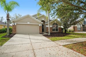 433 DOWN PINE DRIVE, SEFFNER, FL 33584 - MLS#MFRTB8484512