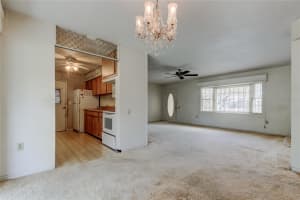 8586 FORSYTH DRIVE, SEMINOLE, FL 33772 - MLS#MFRTB8484516