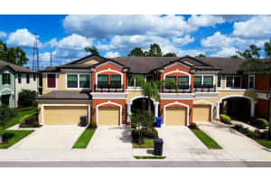 9204 Fox Sparrow Rd, TAMPA