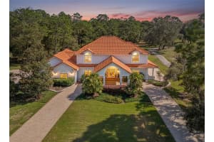 5198 LEGEND HILLS LANE, SPRING HILL, FL 34609 - MLS#MFRTB8484523