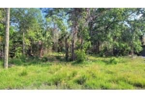 Lot 40 NEEDLES DRIVE, HUDSON, FL 34667 Sold 04/28/26