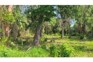 Lot 40 NEEDLES DRIVE, HUDSON, FL 34667 Sold 04/28/26