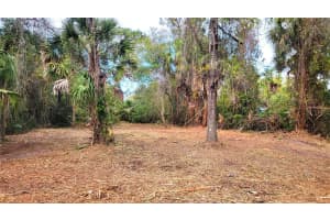 Lot 40 NEEDLES DRIVE, HUDSON, FL 34667 Sold 04/28/26