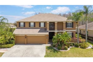 3726 Duke Firth St, LAND O LAKES