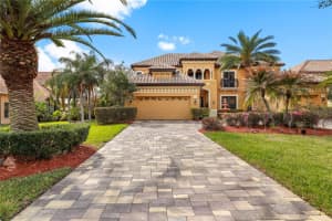 20120 Shady Hill Ln, TAMPA
