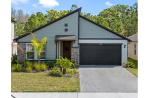 18178 Serene Lake Loop, LUTZ 18178 Serene Lake Loop, LUTZ