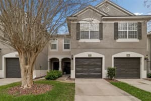 10238 Estero Bay Ln, TAMPA