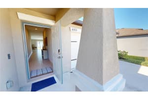 10313 SCARLET SKIMMER DRIVE, RIVERVIEW, FL 33578 - MLS#MFRTB8484707