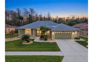 1031 MARAVISTA DRIVE, TRINITY, FL 34655 - MLS#MFRTB8484731