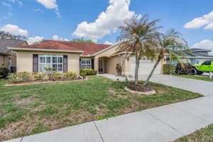 1505 LAKEHURST WAY, BRANDON, FL 33511 - MLS#MFRTB8484762