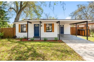 3007 Chipco St, TAMPA