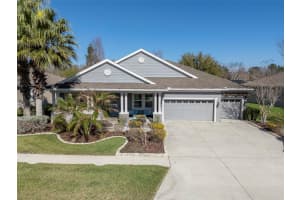 19419 AUTUMN CHASE COURT, LAND O LAKES, FL 34638 - MLS#MFRTB8484782