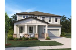 10123 Hidden Hammock Loop, PARRISH