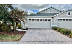 3403 Chapel Creek Cir, WESLEY CHAPEL