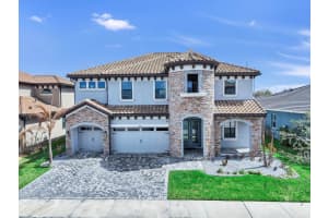 14261 Swiss Bridge Dr, RIVERVIEW