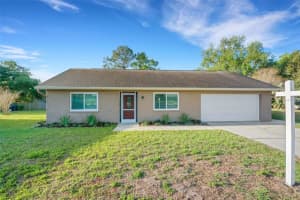 3400 RUGBY COURT, PALM HARBOR, FL 34684 - MLS#MFRTB8484795