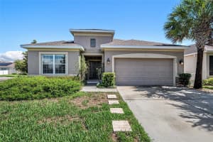 8202 WILLOW BEACH DRIVE, RIVERVIEW, FL 33578 - MLS#MFRTB8484803