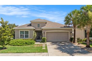 8202 WILLOW BEACH DRIVE, RIVERVIEW, FL 33578 - MLS#MFRTB8484803