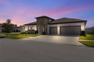 31865 TORTUGA SHORE LOOP, WESLEY CHAPEL, FL 33545 - MLS#MFRTB8484825