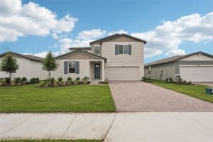 10429 ABUNDANCE GROVE WAY, PARRISH, FL 34219 - MLS#MFRTB8484840