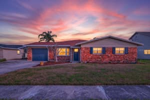 8711 Bay Crest Ln, TAMPA
