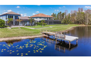 18021 WOODLAND VIEW DRIVE, LUTZ, FL 33548 - MLS#MFRTB8484876