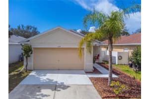 11351 Cocoa Beach Dr, RIVERVIEW