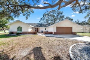 2272 ANCHO AVENUE, SPRING HILL, FL 34608 - MLS#MFRTB8484891