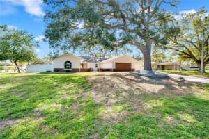 2272 ANCHO AVENUE, SPRING HILL, FL 34608 - MLS#MFRTB8484891