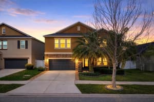 11762 Winterset Cove Dr, RIVERVIEW