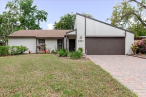 8222 LA SERENA DRIVE, TAMPA, FL 33614 - MLS#MFRTB8484918