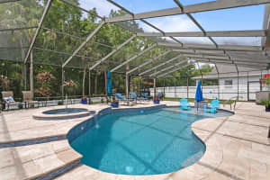 16311 ASHINGTON PARK DRIVE, TAMPA, FL 33647 - MLS#MFRTB8484929