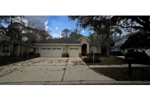 6041 Catlin Dr, TAMPA