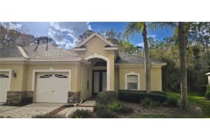 6041 CATLIN DRIVE, TAMPA, FL 33647 - MLS#MFRTB8484964