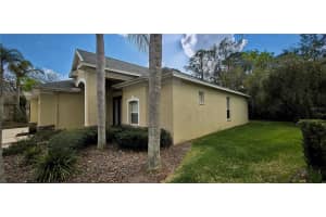 6041 CATLIN DRIVE, TAMPA, FL 33647 - MLS#MFRTB8484964