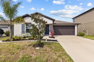5426 Blue Azure Dr, WIMAUMA