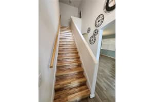 3913 ROSWELL PLACE, LAND O LAKES, FL 34639 - MLS#MFRTB8484985