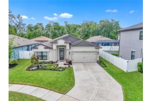 12591 VANDER WAY, NEW PORT RICHEY, FL 34654 - MLS#MFRTB8484992