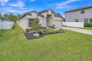 12591 VANDER WAY, NEW PORT RICHEY, FL 34654 - MLS#MFRTB8484992