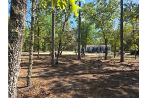10630 80TH STREET, BRONSON, FL 32621 - MLS#MFRTB8484993