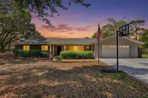 19706 Angel Ln, ODESSA