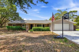 19706 ANGEL LANE, ODESSA, FL 33556 - MLS#MFRTB8485039