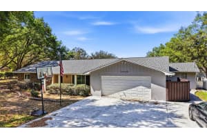19706 ANGEL LANE, ODESSA, FL 33556 - MLS#MFRTB8485039